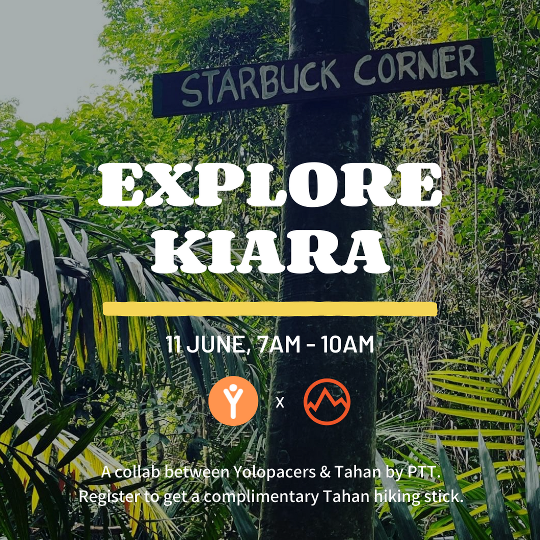 Yoloexplore | Kiara - Starbuck Corner